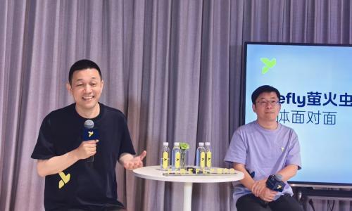 小车市场内卷白热化,蔚来"萤火虫"如何破局?