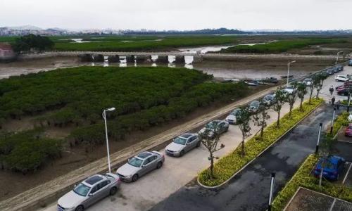 宝马5系Li五大亮点设计 比E级有内涵