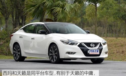 不喜欢带"T" 4款25万左右运动中型车