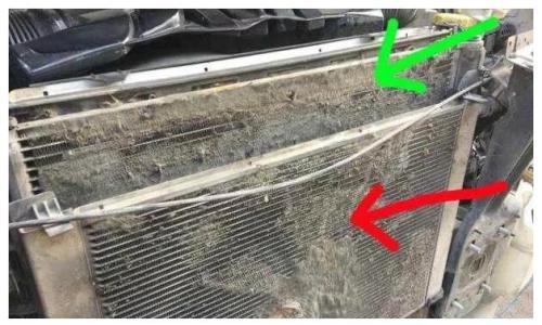 如何清理发动机散热片上的柳絮和虫子?