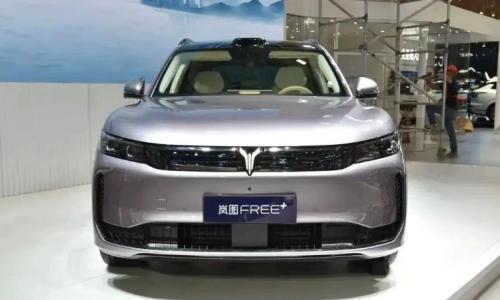 用户倒逼出终身质保,被迫"听劝"的岚图真的太想上主桌了