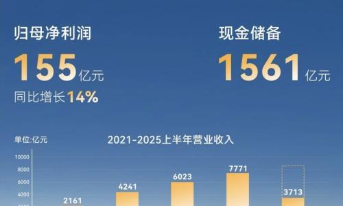 比亚迪2025半年报: 营收3713亿,海外收入大增1.3倍