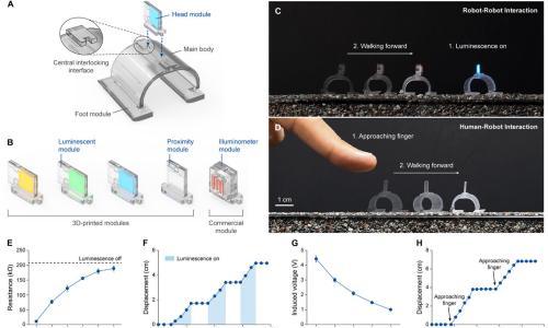 首尔国立大学发明新型3D打印微型机器人 可适应多样化环境