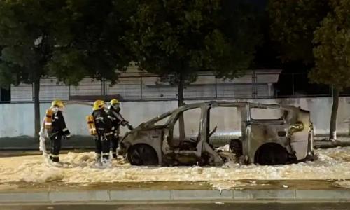 被指避重就轻,理想召回Mega为何引发更多质疑?