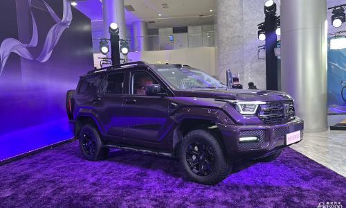 坦克400上市,售价24.99万元起