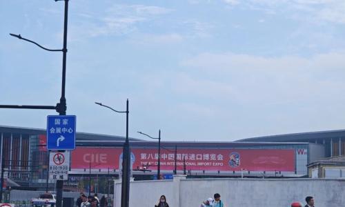 正确打开进博会: 看热闹是海外车企,看门道是中国科技