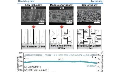 韩国研究团队研发三维多孔结构 有望为电动汽车带来更安全、更持久的锂金属电池