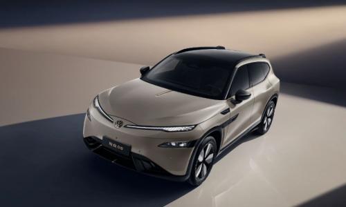 "新旗舰"与众08曝光,金标大众要给合资智能车打个样