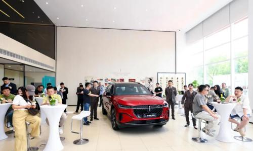 电车脱节,销量连跌4年,林肯贾鸣镝的星火仍未能燎原?