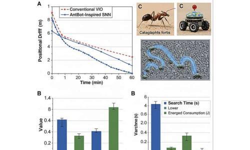 受自然启发 北理工新导航系统帮助机器人无需GPS即可穿越复杂环境