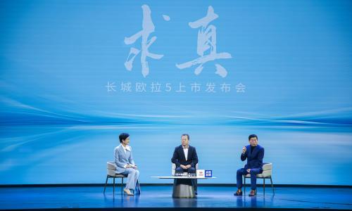 汽车创新,需要踩刹车?