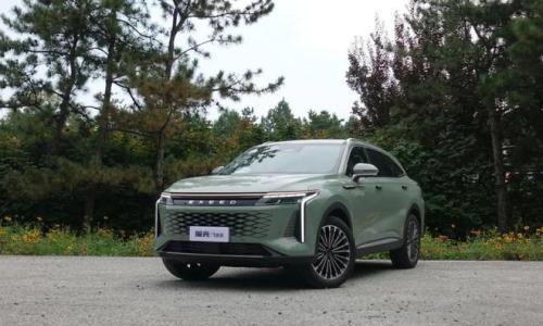 舒适升级只为豪华平权 星途瑶光飞鱼版不玩虚的