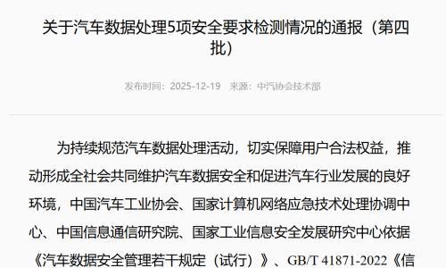 中国汽车已告别"野蛮生长"?|看见2025