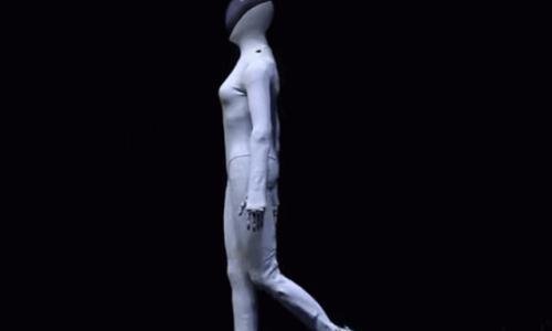 机器人"仿人"狂飙: 技术必然,还是产业歧途?