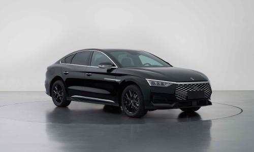 比亚迪,又一新品牌?