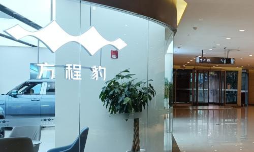 一台20万的车,撬动了最肥市场