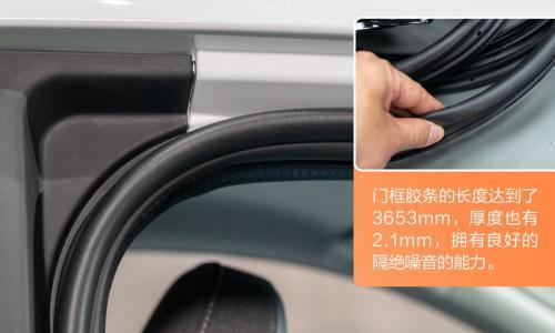 明明有高颜值 偏偏要靠实力 小蚂蚁拆解+实验大探秘