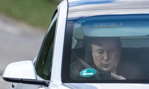 特斯拉智驾,镰刀终落下