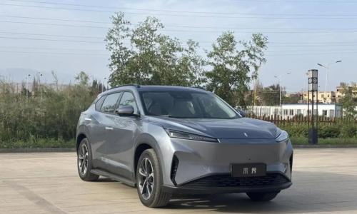 Stellantis集团半年亏损1500亿元,神龙汽车还在等"东风"?