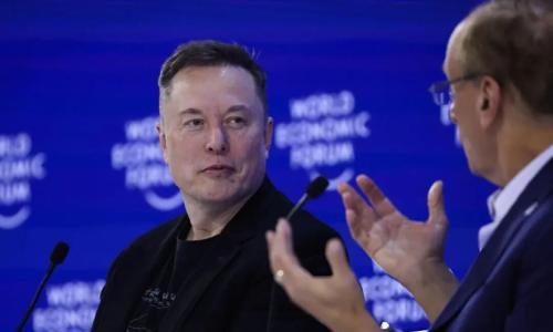 FSD入华是狼,那谁是待宰的羔羊?