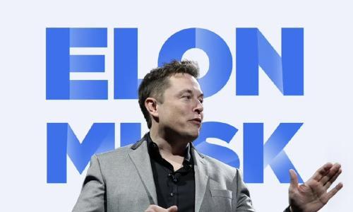 ​2025,中国新势力与特斯拉的三重奏