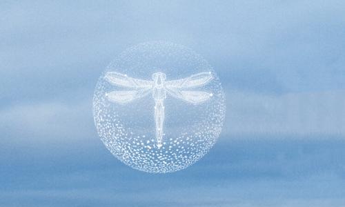 前途汽车: 被自己原本看不上的"鲶鱼论"给真相了