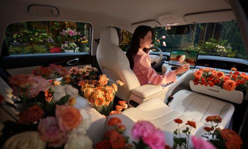 536 天交付 60 万辆 吉利星愿刷新 A0 级纯电市场纪录