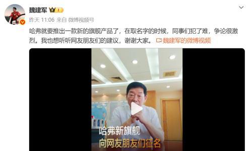 哈弗新旗舰侧视图公布 魏建军向全网征集新车命名