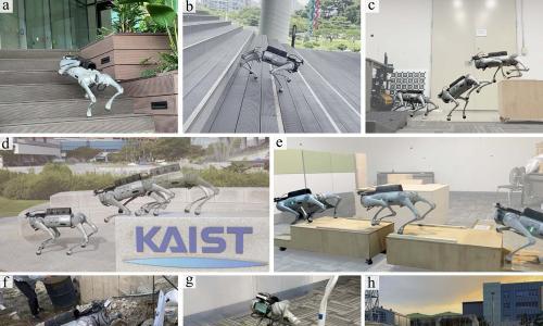 KAIST开发四足机器人 能够感知危险、自行选择路线、并在负重移动时克服障碍