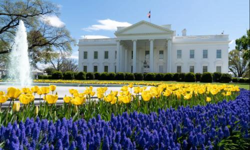 200亿关税退款即将开申!美国车企的"及时雨",还是"空头支票"?