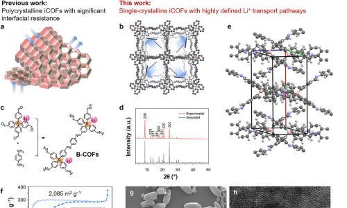 香港科技大学开发单晶电解质 助力打造更安全的锂金属电池