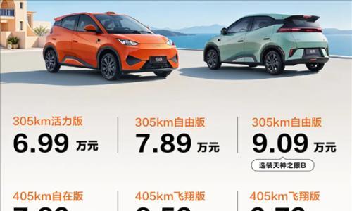2026款比亚迪海鸥上市 售价6.99-8.59万元