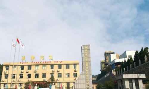 两大股东同步减持,这家"有矿"企业开盘重挫