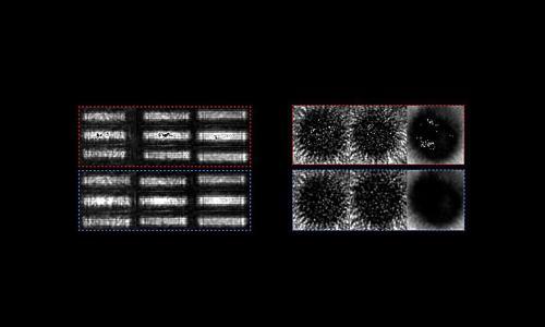 加州大学发明成像系统改进方案 有望提升生物医学成像和自动驾驶车辆传感器的性能