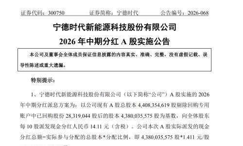 分红61.8亿元!宁德时代落地中期分红