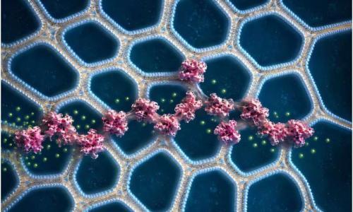 德克萨斯大学奥斯汀分校研发出可3D打印的材料 能修复人体、制造更先进的机器人并回收关键矿物质