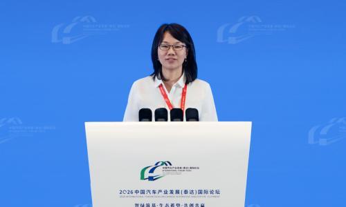 王芳: 新能源转向市场与技术双轮驱动 固态电池成竞争新赛道|2026泰达论坛