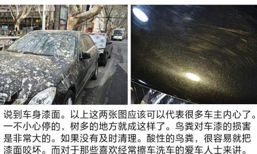 鸟粪终结者?长安SUV CS55漆面上的秘密