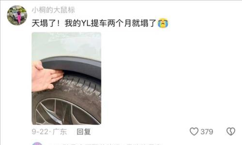 渗透率67%,是新能源车的高光,还是最后的疯狂?